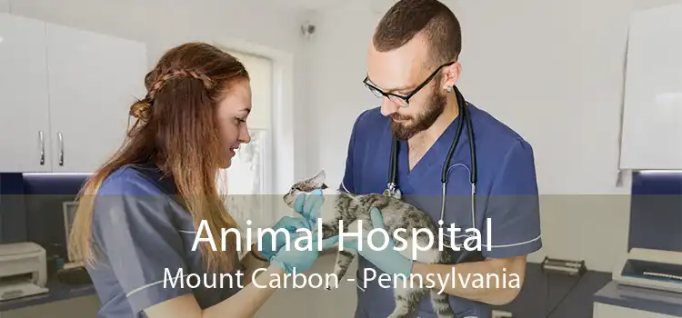 Animal Hospital Mount Carbon - Pennsylvania