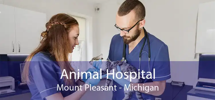 Animal Hospital Mount Pleasant - Michigan