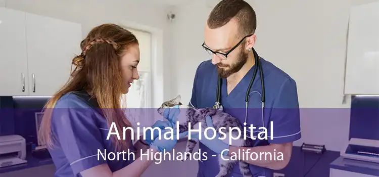Animal Hospital North Highlands - California