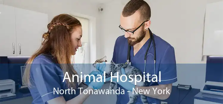 Animal Hospital North Tonawanda - New York