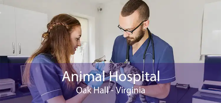 Animal Hospital Oak Hall - Virginia