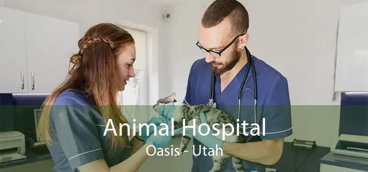 Animal Hospital Oasis - Utah