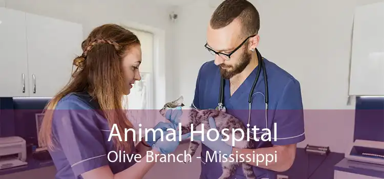Animal Hospital Olive Branch - Mississippi