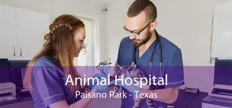 Animal Hospital Paisano Park - Texas