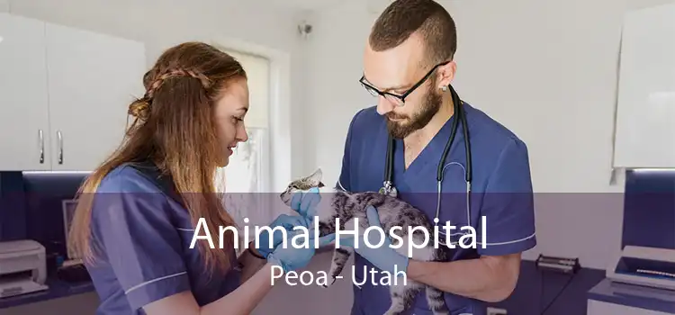 Animal Hospital Peoa - Utah