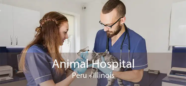 Animal Hospital Peru - Illinois