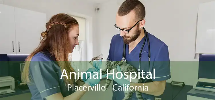 Animal Hospital Placerville - California