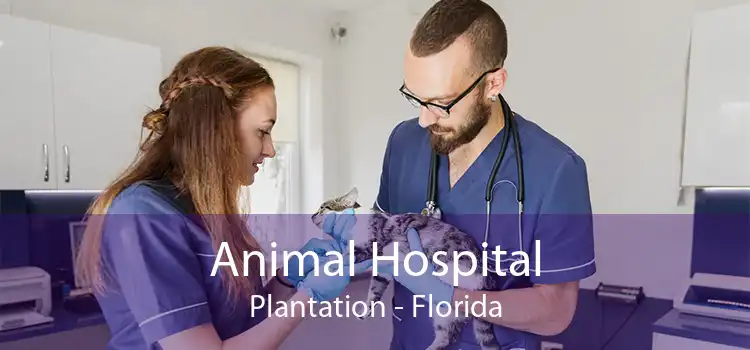 Animal Hospital Plantation - Florida