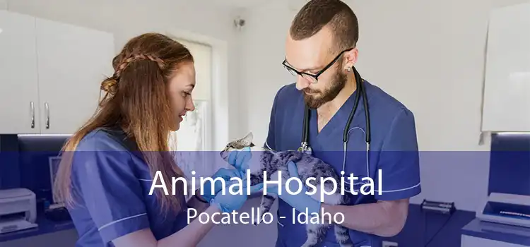Animal Hospital Pocatello - Idaho