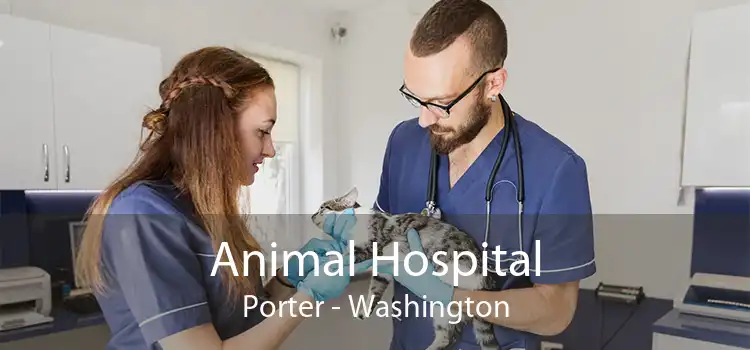 Animal Hospital Porter - Washington