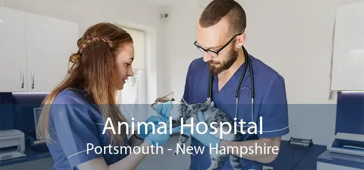 Animal Hospital Portsmouth - New Hampshire