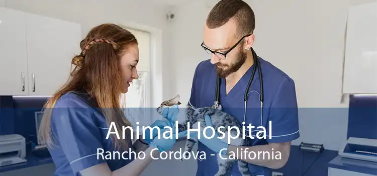 Animal Hospital Rancho Cordova - California