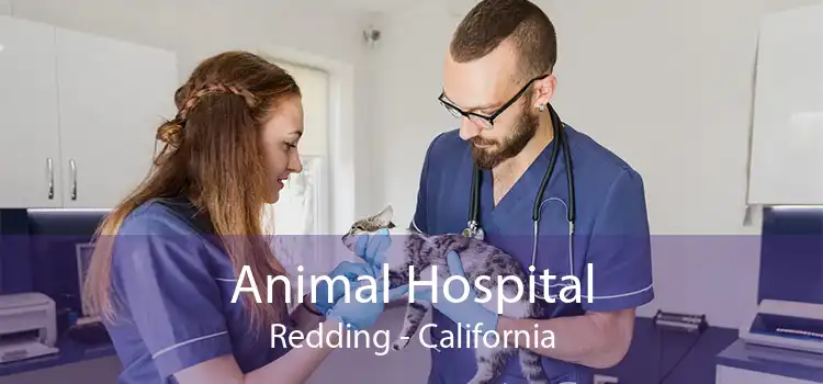 Animal Hospital Redding - California