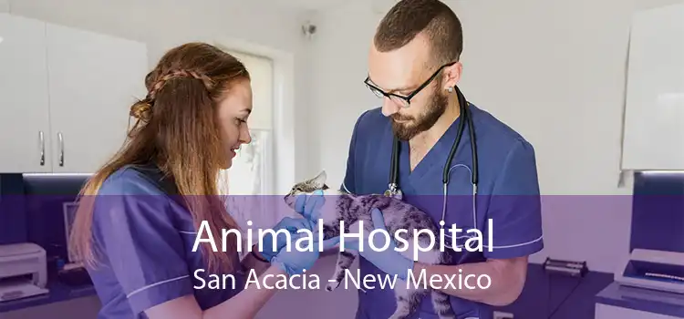 Animal Hospital San Acacia - New Mexico