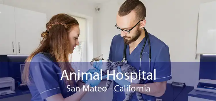 Animal Hospital San Mateo - California