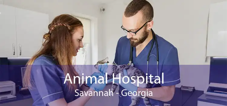 Animal Hospital Savannah - Georgia