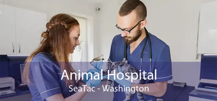 Animal Hospital SeaTac - Washington