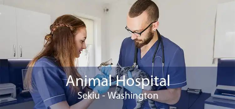 Animal Hospital Sekiu - Washington
