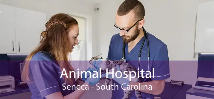 Animal Hospital Seneca - South Carolina