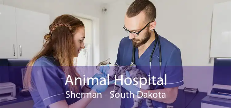 Animal Hospital Sherman - South Dakota