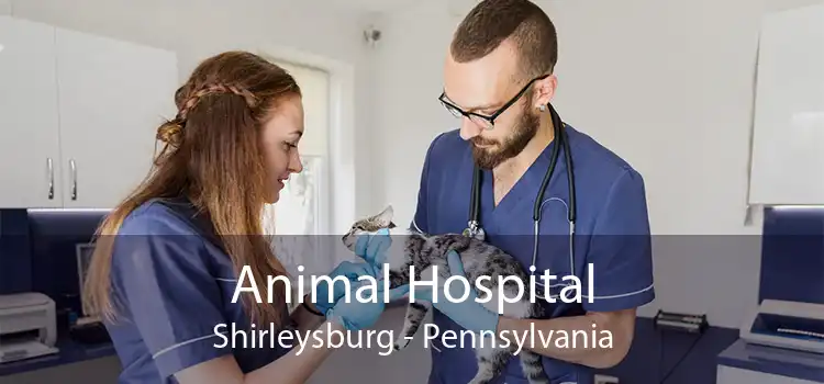 Animal Hospital Shirleysburg - Pennsylvania