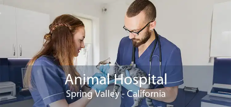 Animal Hospital Spring Valley - California