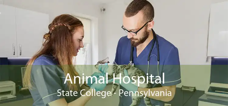 Animal Hospital State College - Pennsylvania