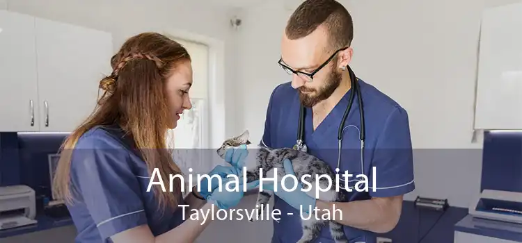 Animal Hospital Taylorsville - Utah