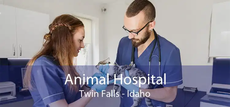 Animal Hospital Twin Falls - Idaho