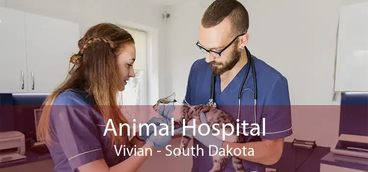 Animal Hospital Vivian - South Dakota