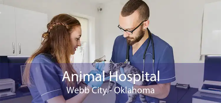 Animal Hospital Webb City - Oklahoma