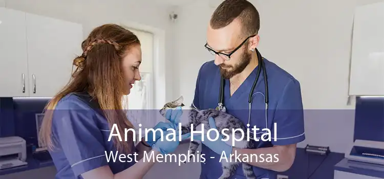 Animal Hospital West Memphis - Arkansas