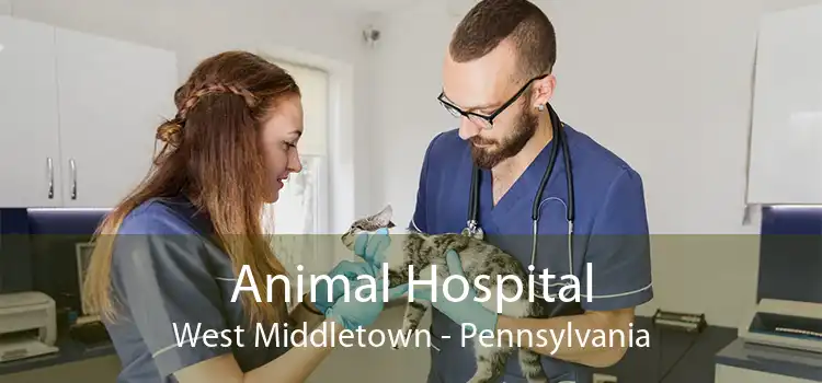 Animal Hospital West Middletown - Pennsylvania