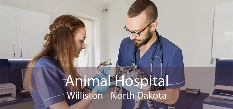 Animal Hospital Williston - North Dakota