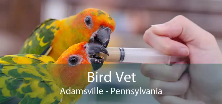 Bird Vet Adamsville - Pennsylvania
