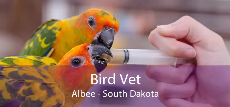 Bird Vet Albee - South Dakota
