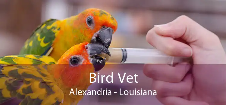 Bird Vet Alexandria - Louisiana