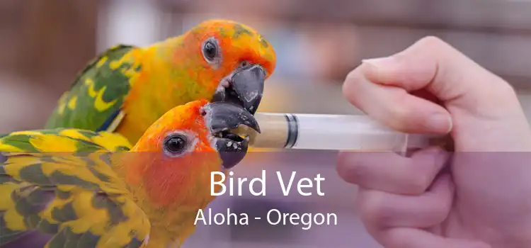 Bird Vet Aloha - Oregon