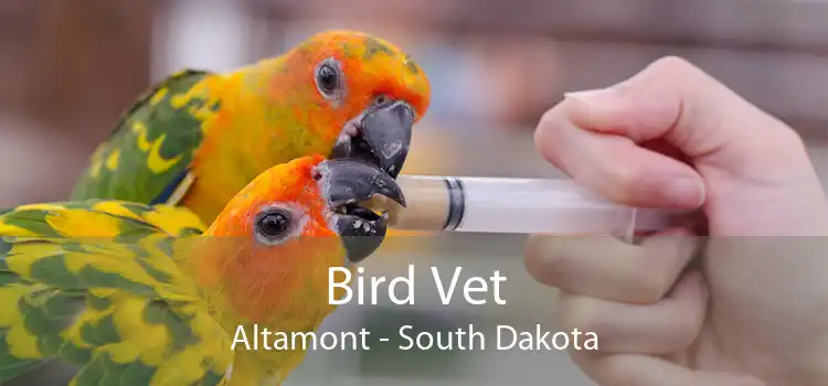 Bird Vet Altamont - South Dakota