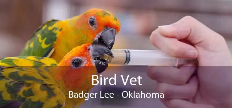 Bird Vet Badger Lee - Oklahoma