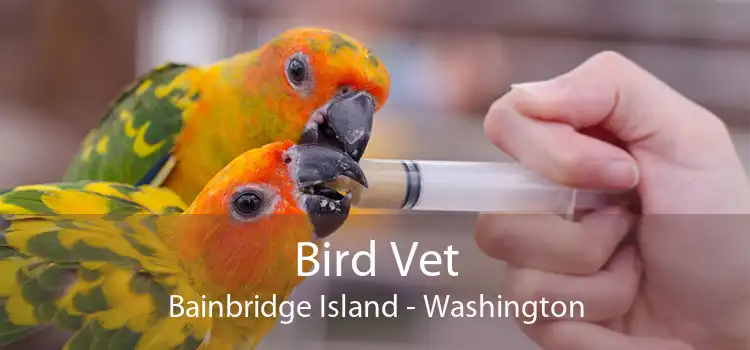Bird Vet Bainbridge Island - Washington