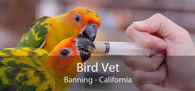 Bird Vet Banning - California