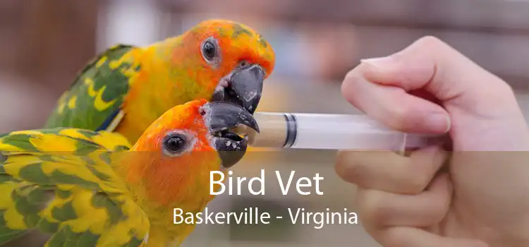 Bird Vet Baskerville - Virginia