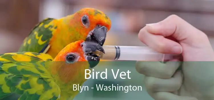 Bird Vet Blyn - Washington