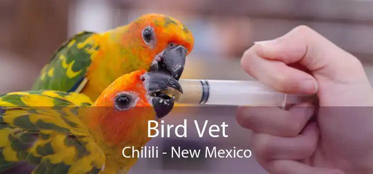 Bird Vet Chilili - New Mexico