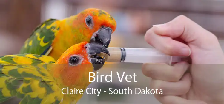 Bird Vet Claire City - South Dakota