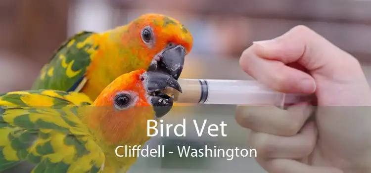 Bird Vet Cliffdell - Washington