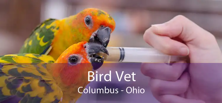 Bird Vet Columbus - Ohio