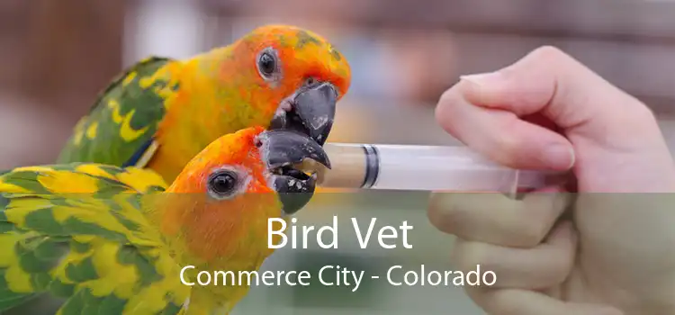 Bird Vet Commerce City - Colorado