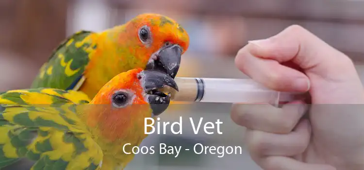 Bird Vet Coos Bay - Oregon